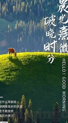 成人性生活视频-成人性生活的多元视角与网络视频的复杂影响