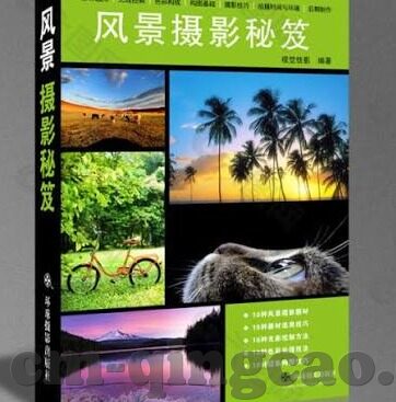 豆芽视频app下载安装糖心-追寻纯净娱乐之境——豆芽视频APP详解与应用