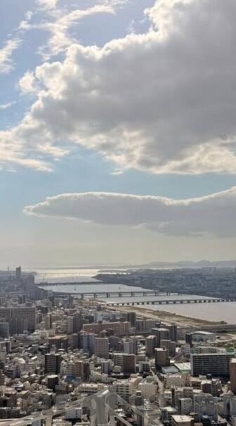 高潮91麻豆麻豆沈先生-情感剧透，高潮91 一场沈先生与麻豆们的心灵之旅