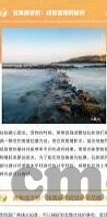 韩国伦理片在线观看-韩国伦理片，文化、艺术与道德的交织