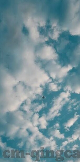 精品少妇一区二区三区-探索多元文化视角下的网络内容与道德边界