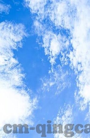 伦理小说现代在线观看-伦理小说，现代在线观看的多元视角与思考