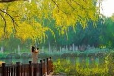 麻豆媒体传媒-麻豆媒体传媒，艺术与商业的优雅平衡