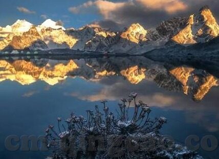 糖心app在哪下-如何获取糖心APP——步骤与方法简述