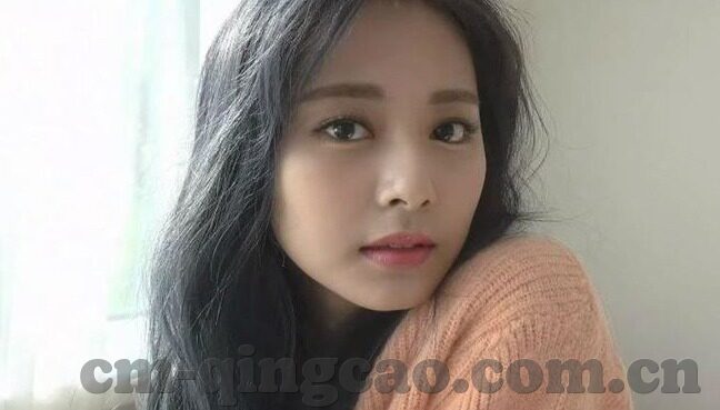 糖心vlog官网破解-获取合法娱乐资讯，探究糖心vlog官网的正确途径