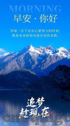 糖心vlog金善雅-穿梭在生活艺术，金善雅的糖心Vlog探索之旅