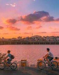 糖心vlog免费观看3次-体验甜蜜烙印，解锁糖心Vlog的免费观看之旅