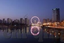 小蝌蚪麻豆91-小蝌蚪的奇妙之旅——一次关于成长与探索的童趣幻想