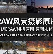 亚洲最大中文字幕无码网站-亚洲文化与网络现象的多元视角