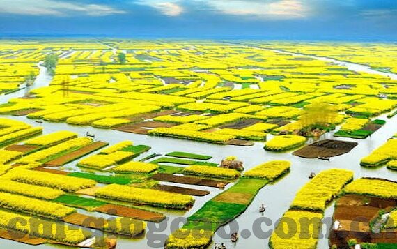 在线中文字幕乱码在线观看-探索中文在线观影新体验，中文字幕与乱码的奇妙邂逅
